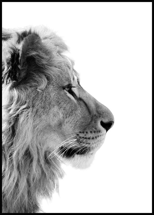 Lion Profile Poster