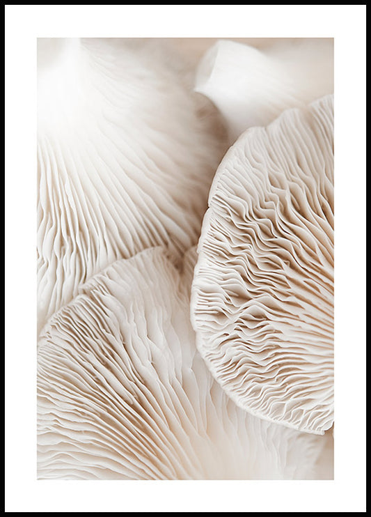 Mushroom Dream Poster