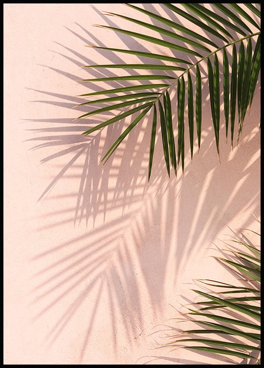 Pink Wall Palms Poster