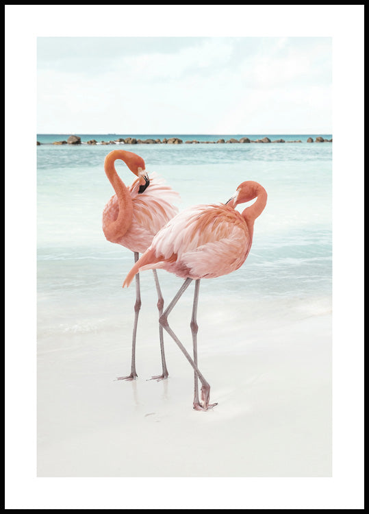 Flamingo Love Poster