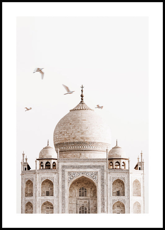 Taj Mahal Poster