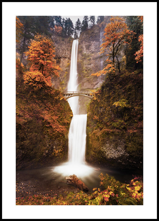 Waterfall in Autumn Poster