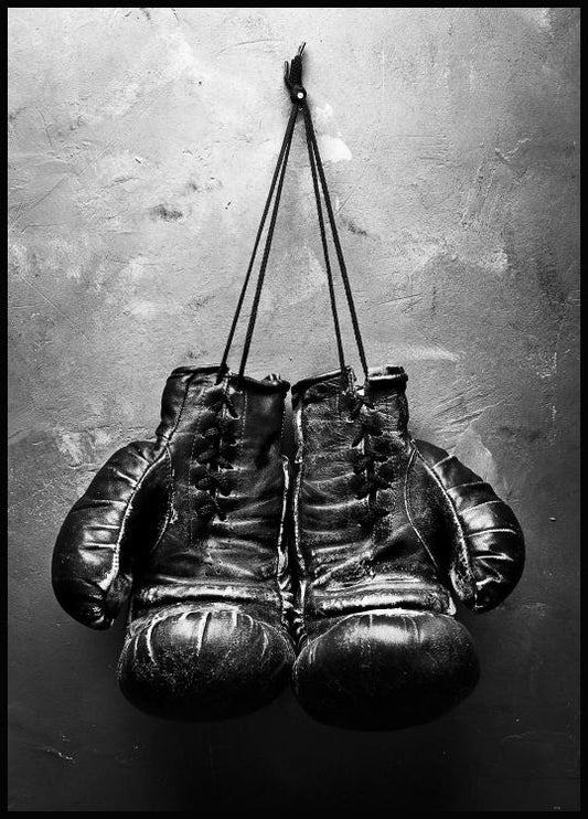 Boxing Gloves Poster