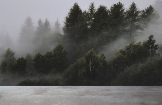 Pine forest in the mist - peel and stick, removable, Landscape Mural, Mountains, Wall Decoration, Wood, Nature, Forest Mural, Fresh Green