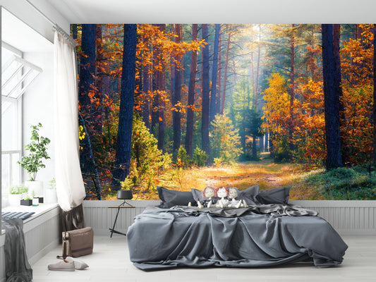 Autumn Forest Wallpaper - peel and stick, removable, Landscape Mural, Sunset, Wall Decoration, Wood, Nature, Forest Mural