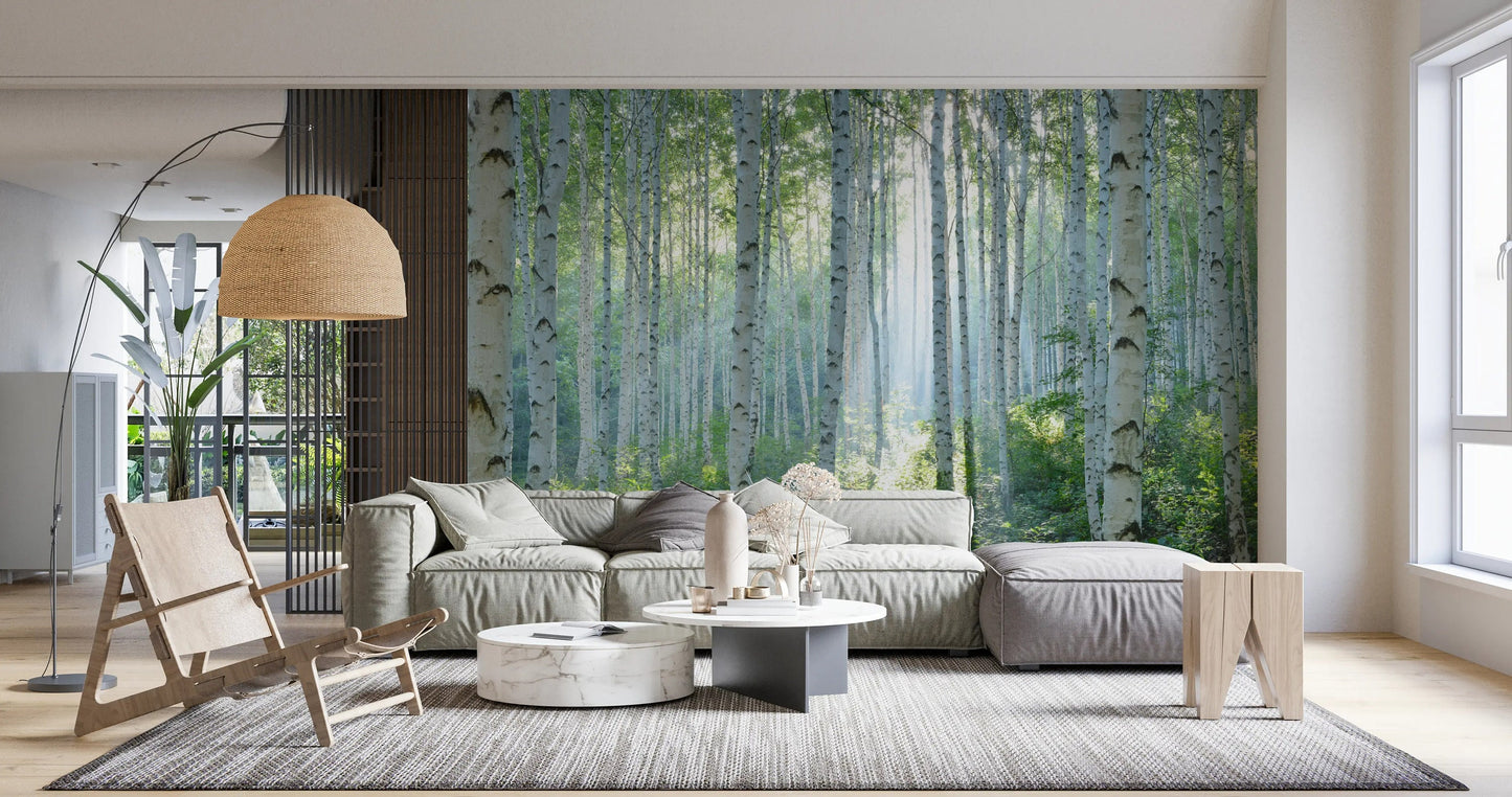 Peaceful Birch Woods Forest Nature Landscape Large Murals Living Room Sofa Bedroom Modern Wall Painting Home Decor