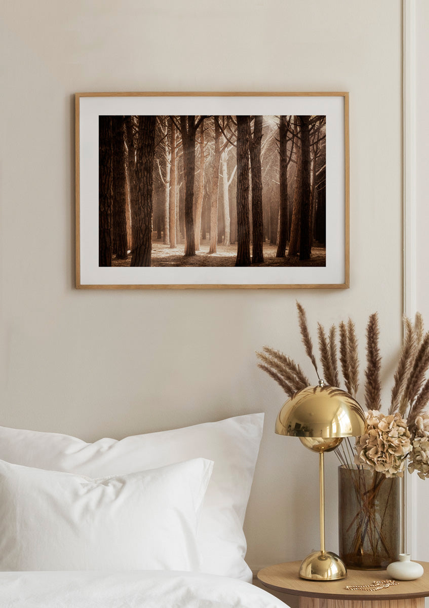 Magical Forest Sunlight Poster