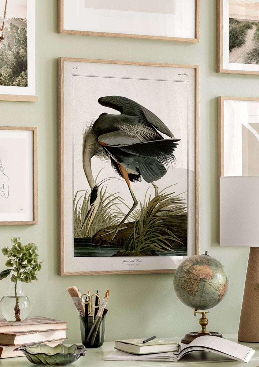 Great Blue Heron Poster