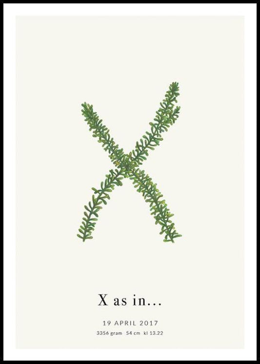 Botanic Letter X Personal Poster