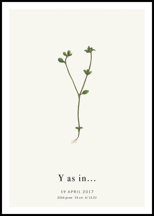 Botanic Letter Y Personal Poster