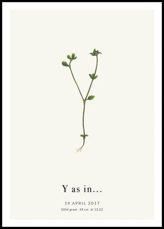 Botanic Letter Y Personal Poster