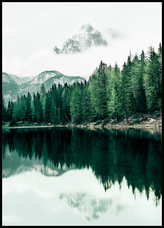 Woodland Reflection Poster