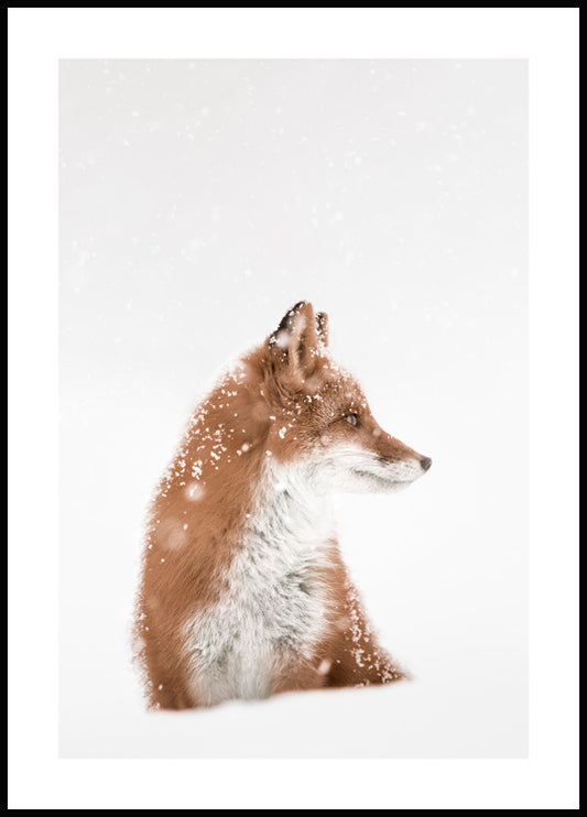 Fox in Snow Poster