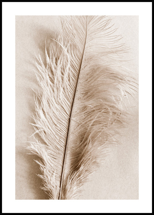 Soft Feather Poster