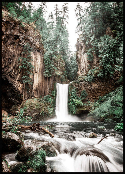 Forest Waterfall Poster