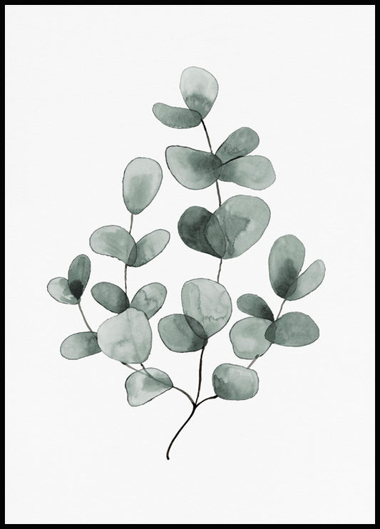 Eucalyptus No1 Poster