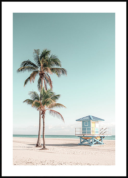 Palm Beach Poster