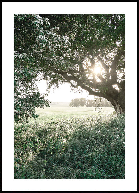 Rural Field Poster