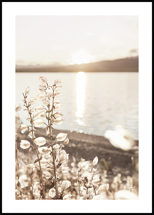 Sun Over Summer Lake Poster