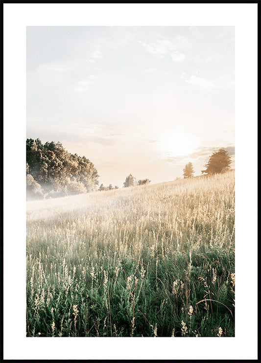 Foggy Morning Field Poster