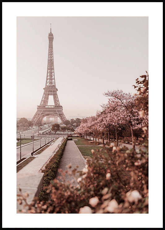 Morning in Paris Poster