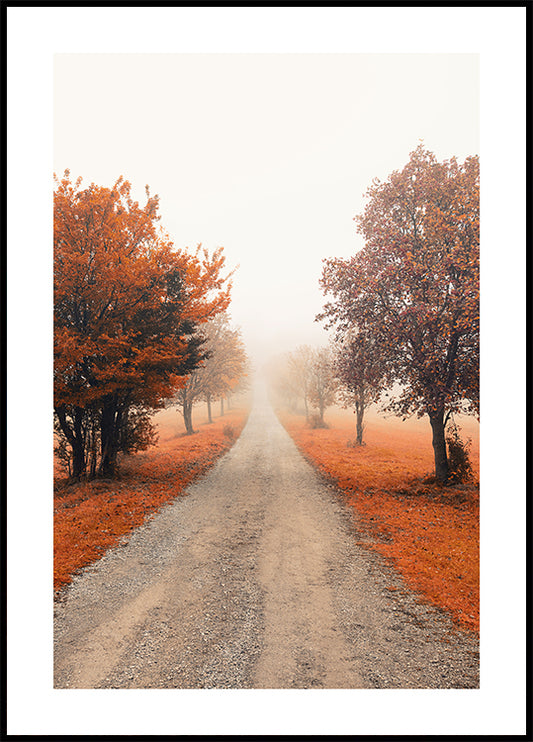 Misty Tree Alley Poster