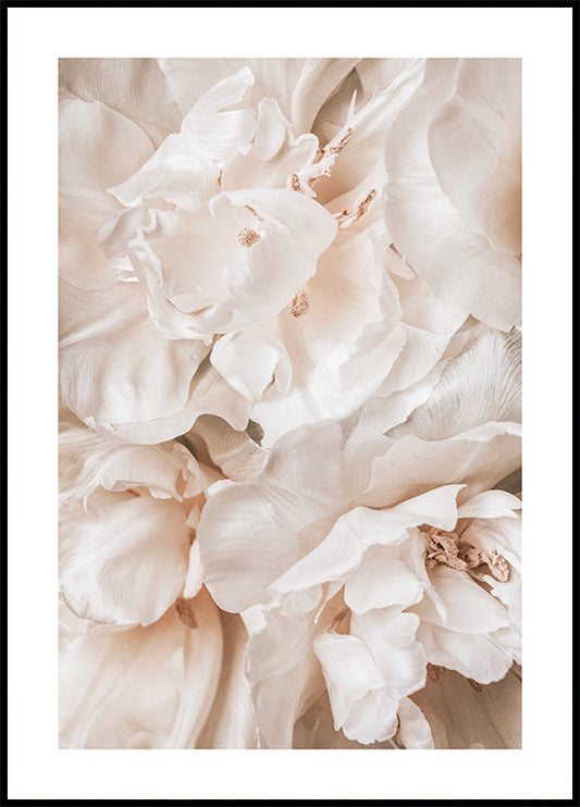 Soothing Blossoms Poster