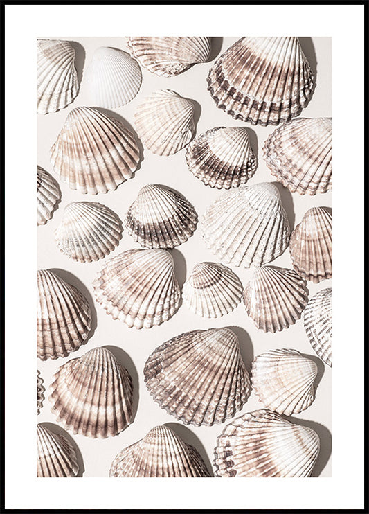 Sea Treasures Poster