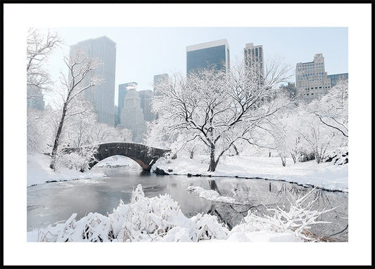 Winter in New York Poster