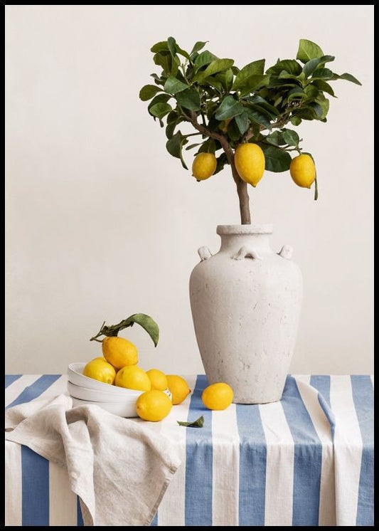 Lemons on Table Poster