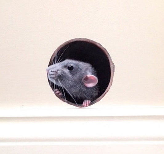 Playful Rat Wall Art Sticker - Matt Vinyl, Removable and Repositionable